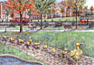 Ducklings, Boston Public Garden, Boston, MA
